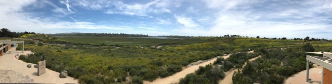Upper Newport Bay Nature Preserve panorama