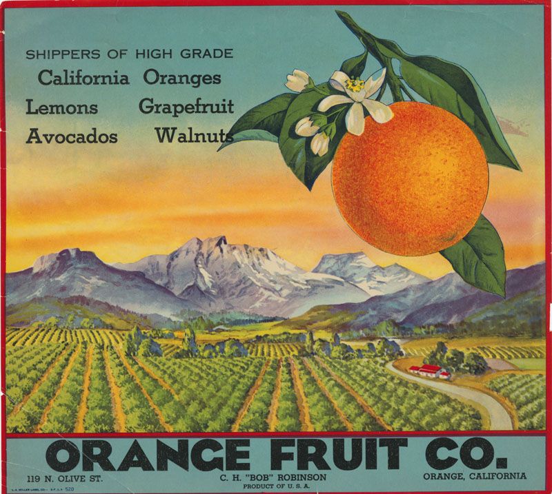 Orange Fruit Co..jpg